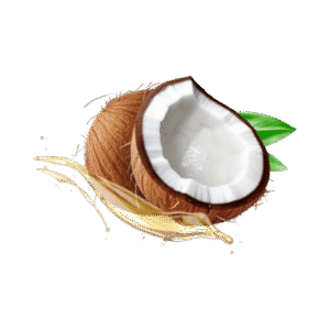 Aceite de Coco 100ml
