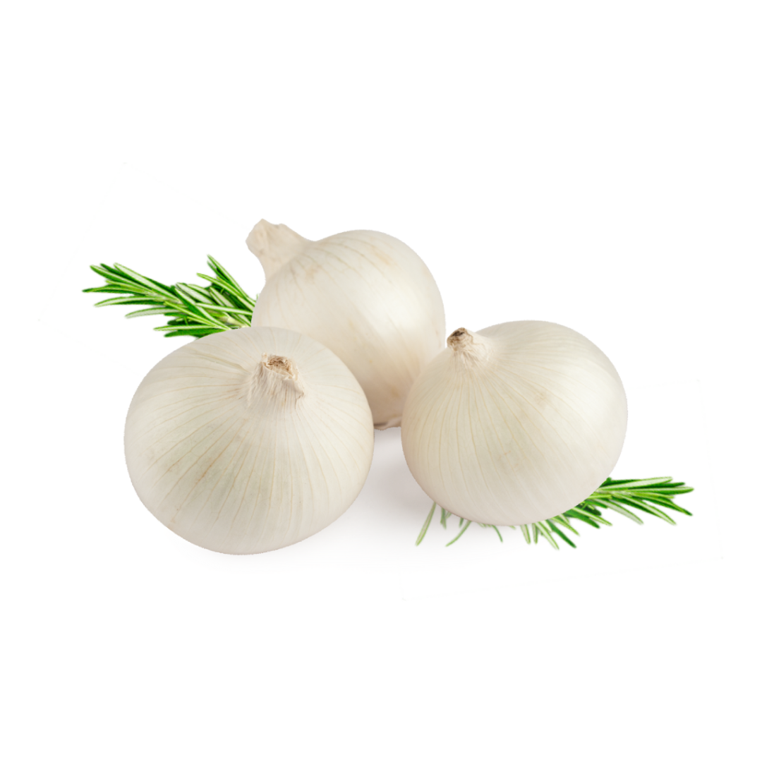 Champú de Cebolla con Romero – 500 ml